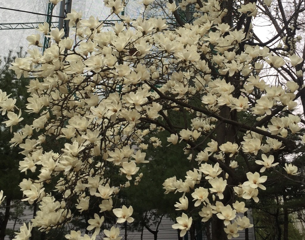 나른한 봄, 무기력증&nbsp;이겨내기